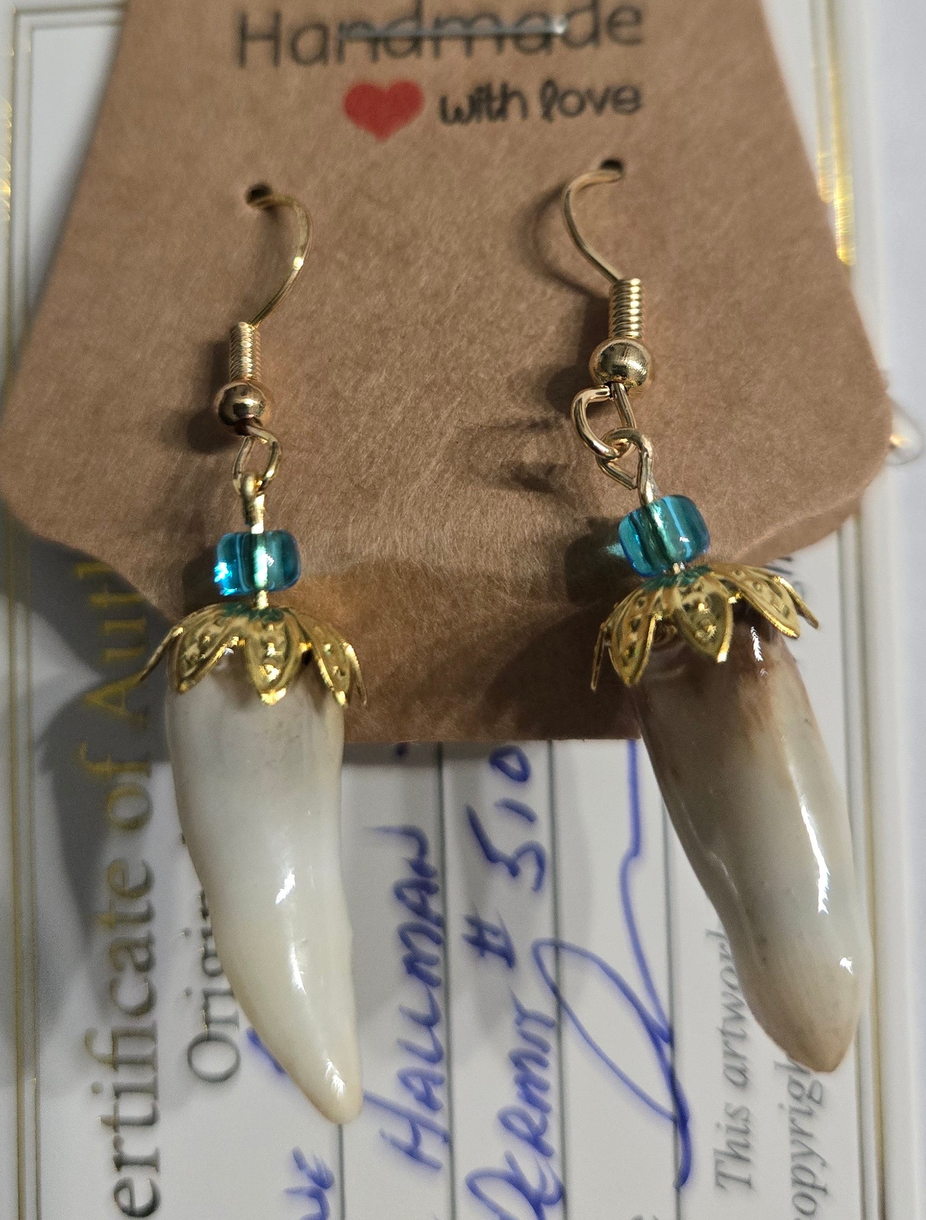 Genuine Alligator Teeth earrings on gold-plated earring facets, with blue glass bead accents.