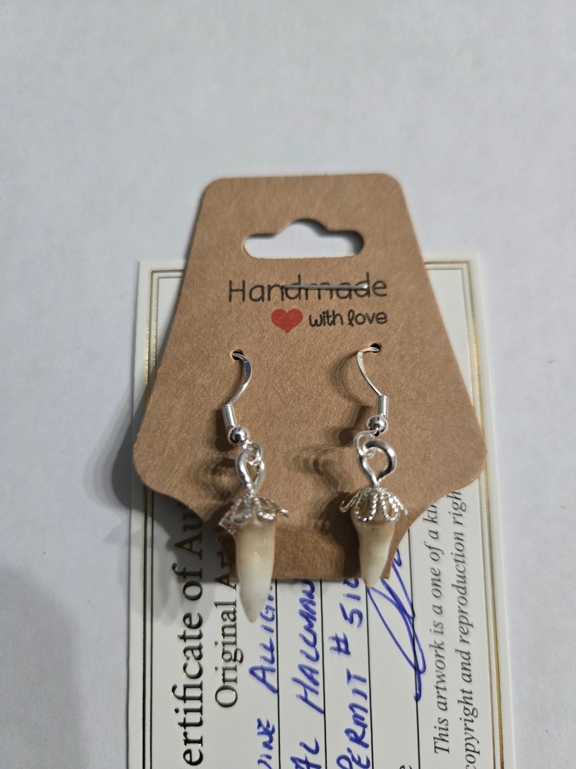 Genuine Alligator Teeth earrings on sterling silver earring facets.