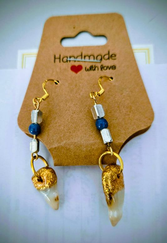 Genuine handmade Alligator Teeth earrings with gold, blue and silver colored bead accents.